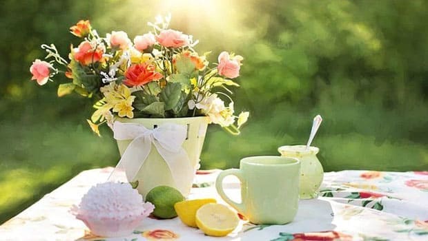 Dekorierter Gartentisch im Sommerlicht.