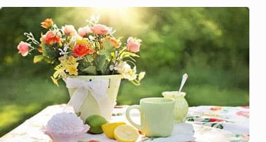 Decorated garden table in summer.